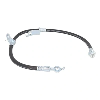 Afbeelding van Delphi Diesel Remslang LH7192