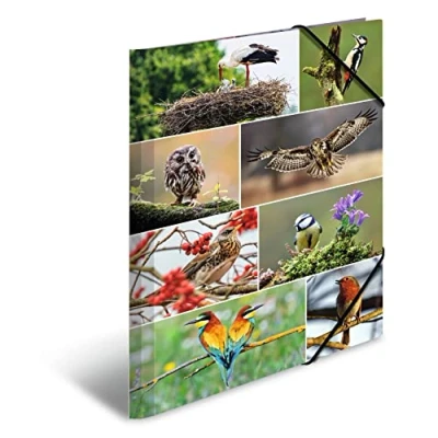 Image de HERMA Classeur A3 motif oiseaux, en carton, avec animal, élastique, rabat intérieur et impression intérieure pour garçons filles