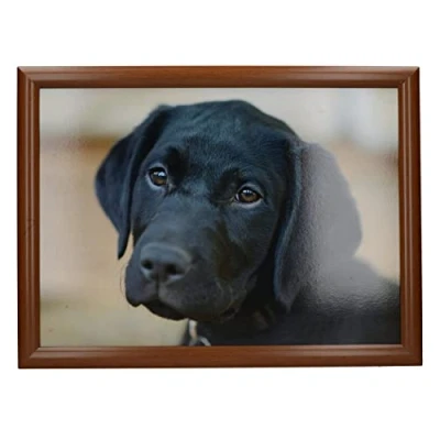 Afbeelding van Laptray zwarte Labrador