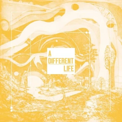 Afbeelding van Catt A Different Life (LP)
