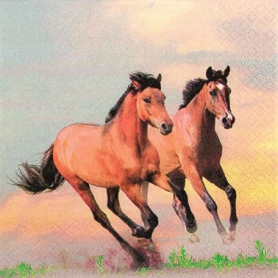 Afbeelding van Wild Horses servetten, wilde paarden, dieren, 33 x cm, 20 stuks