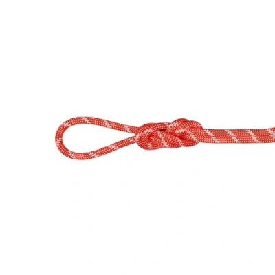 Afbeelding van Mammut 8.0 Alpine Classic Rope 60 m