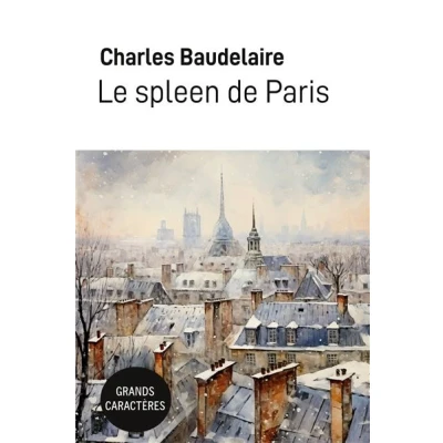 Image de Le spleen de Paris