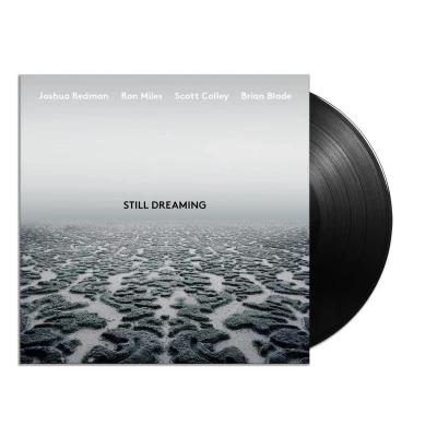 Afbeelding van Still Dreaming (LP)