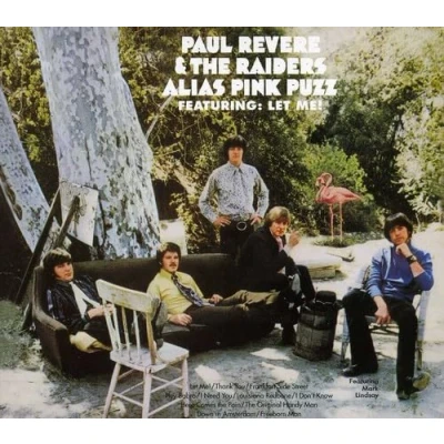 Afbeelding van Alias Pink Puzz