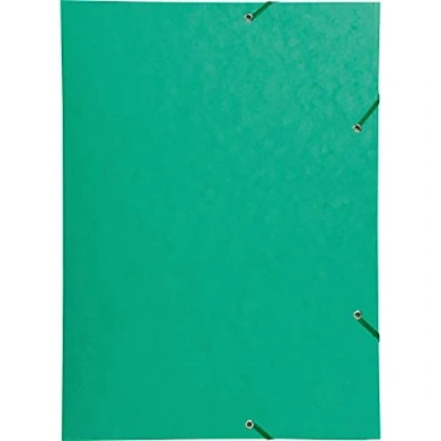Afbeelding van Exacompta Ref. Elastomap, 59515E, 3 flapjes voor glanspapier, 600 g/m², A3 formaat, groen