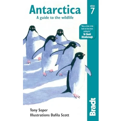 Afbeelding van Antarctica