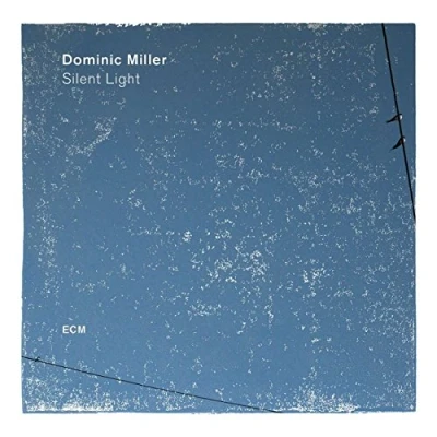 Afbeelding van Dominic Miller Silent Night (LP)