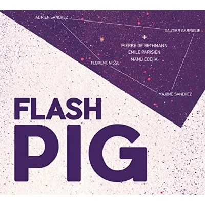 Afbeelding van Flash Pig (CD)