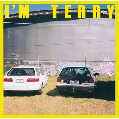 Afbeelding van Terry I&#039;m (LP) (Coloured Vinyl)