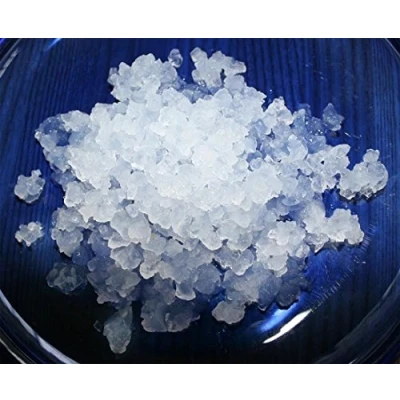 Image de 100 g de grains kéfir d&#039;eau + instructions recettes aide et conseils en anglais KEFIRALIA®