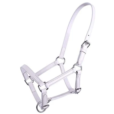 Image de QHP Leather Foal Halter Chico