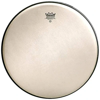 Afbeelding van Remo RA 0010 SS 10 Renaissance Ambassador