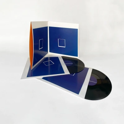 Afbeelding van Underworld Beaucoup Fish (LP)