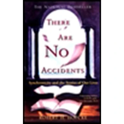 Afbeelding van There Are No Accidents