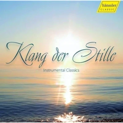 Afbeelding van Various Artists Klang Der Stille (CD)