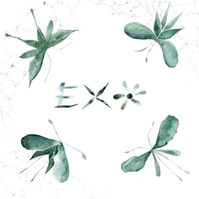 Afbeelding van Exo (LP)