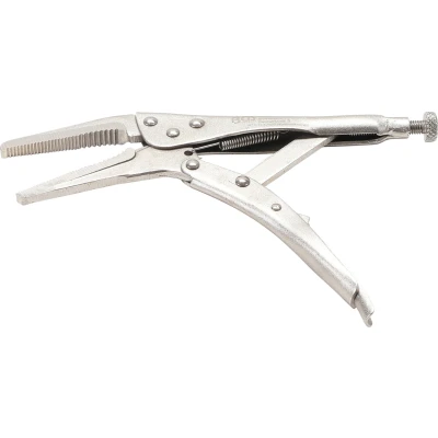 Afbeelding van BGS Griptang langbek 225 mm