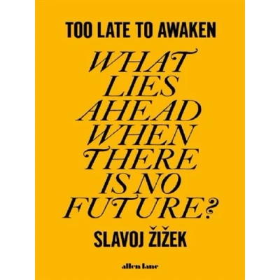 Image de Too Late to Awaken