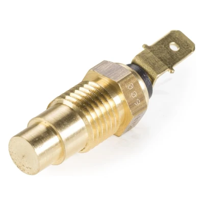 Afbeelding van Hella Temperatuursensor 6PT 009 107 221