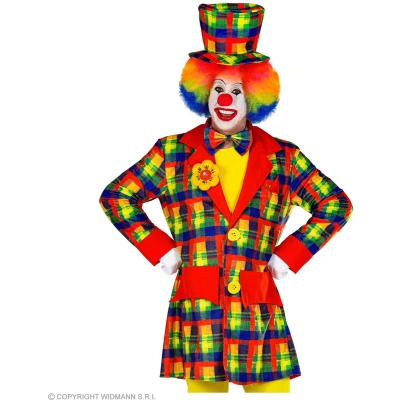 Afbeelding van Widmann Clown &amp; Nar Kostuum Keurige Kleurige Fleurige Jas Multicolor Large Carnavalskleding Verkleedkleding