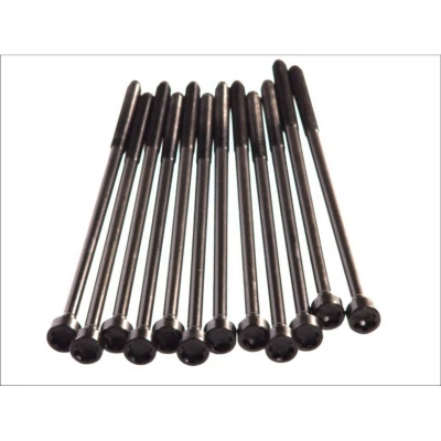 Afbeelding van ELRING 152.090 Cilinderkopbouten Binnenprofiel (Ribe CV) FIAT: BRAVO 1