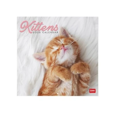 Afbeelding van Legami Wandkalender 2025, grote wandkalender, 30 x 29 cm, 12 maanden en jaarplanner, ruimte voor notities notities, 6 talen, sterrenbeelden internationale feesten, Kittens