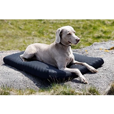 Afbeelding van Back on track Bed hondenmatras 60 cm X 70