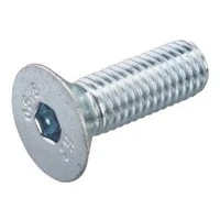 Afbeelding van Silerswaar Bout Pk M4x20 Binnenzeskant (12)
