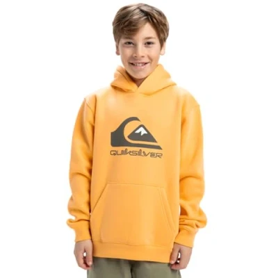 Afbeelding van Quiksilver BIG LOGO Hoodie Youth Unisex voor kinderen, Maat: 140, Chamois