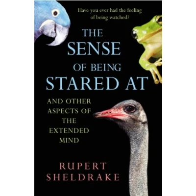 Afbeelding van Sense Of Being Stared At