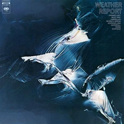 Image de Weather Report Vinyle 180 gr