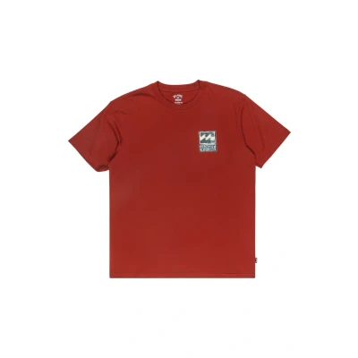 Afbeelding van BILLABONG Stamp Ss T shirt voor heren (1 stuk)
