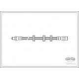 Afbeelding van CORTECO 19025849 Remslang Achteras 300mm VOLVO: 850 Estate, 760 Saloon, 440 K