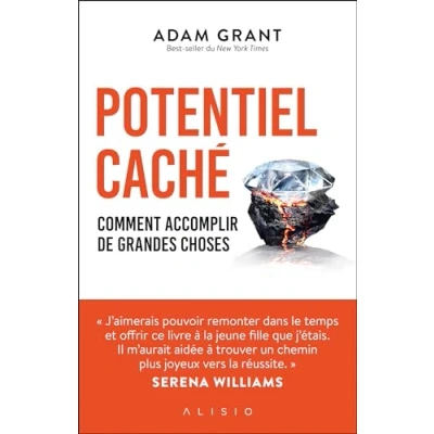 Afbeelding van REVELEZ VOTRE POTENTIEL CACHE ET ACCOMPLISSEZ DE GRANDES CHO