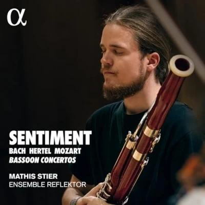 Afbeelding van Mathis Stier &amp; Ensemble Reflektor Sentiment (CD)