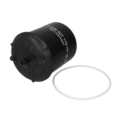 Afbeelding van Bosch Oliefilter F 026 407 119