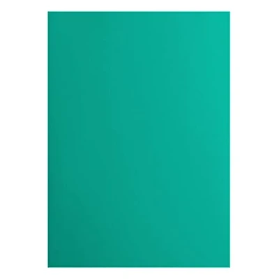 Afbeelding van Vaessen Creative Florence 2927 060 10 vellen glad papier voor scrapbooking, kaarten maken, embossing en andere knutselwerken, groen, 216 g/m²