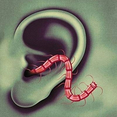 Afbeelding van Thee Oh Sees An Odd Entrances (CD)