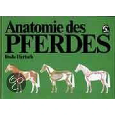 Afbeelding van Anatomie des Pferdes