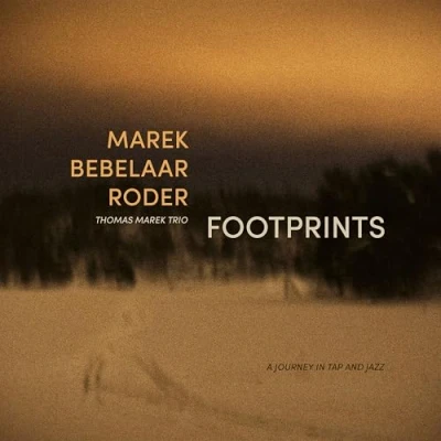 Afbeelding van Thomas Marek Trio Footprints (LP)