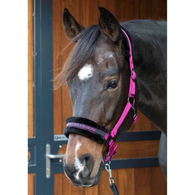 Afbeelding van Harry&#039;s Horse Halsterset Lyrics Quotes Fuchsia