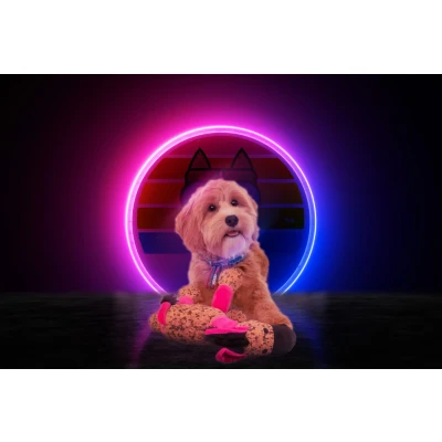 Afbeelding van Agradi Retrodog Donkey Roze M