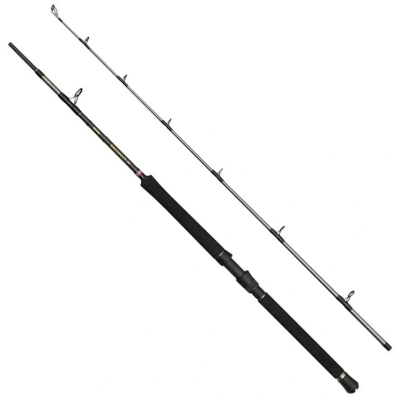 Afbeelding van Penn Regiment IV Boat Rod