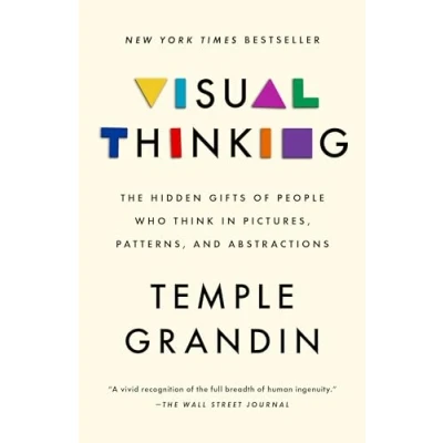 Afbeelding van Visual Thinking