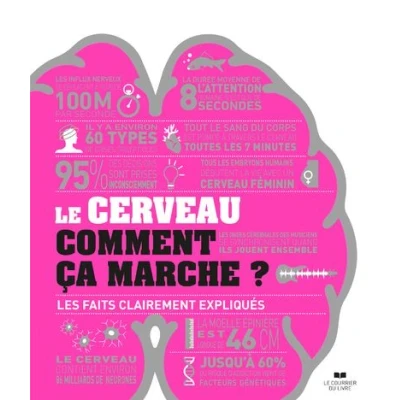 Image de Le cerveau comment ça marche ? Les faits clairements expliqués
