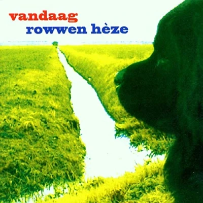 Afbeelding van Rowwen Heze Vandaag (2 LP)