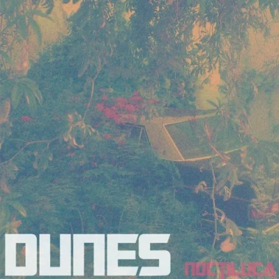 Afbeelding van Dunes Noctiluca (CD)