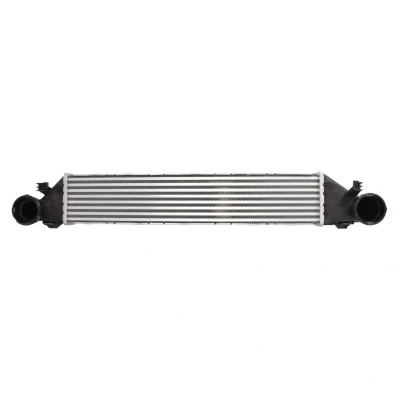 Afbeelding van THERMOTEC DAM005TT Intercooler 650 130 55