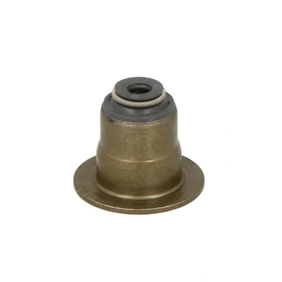 Afbeelding van Reinz Klepsteeldichting 70 54206 00